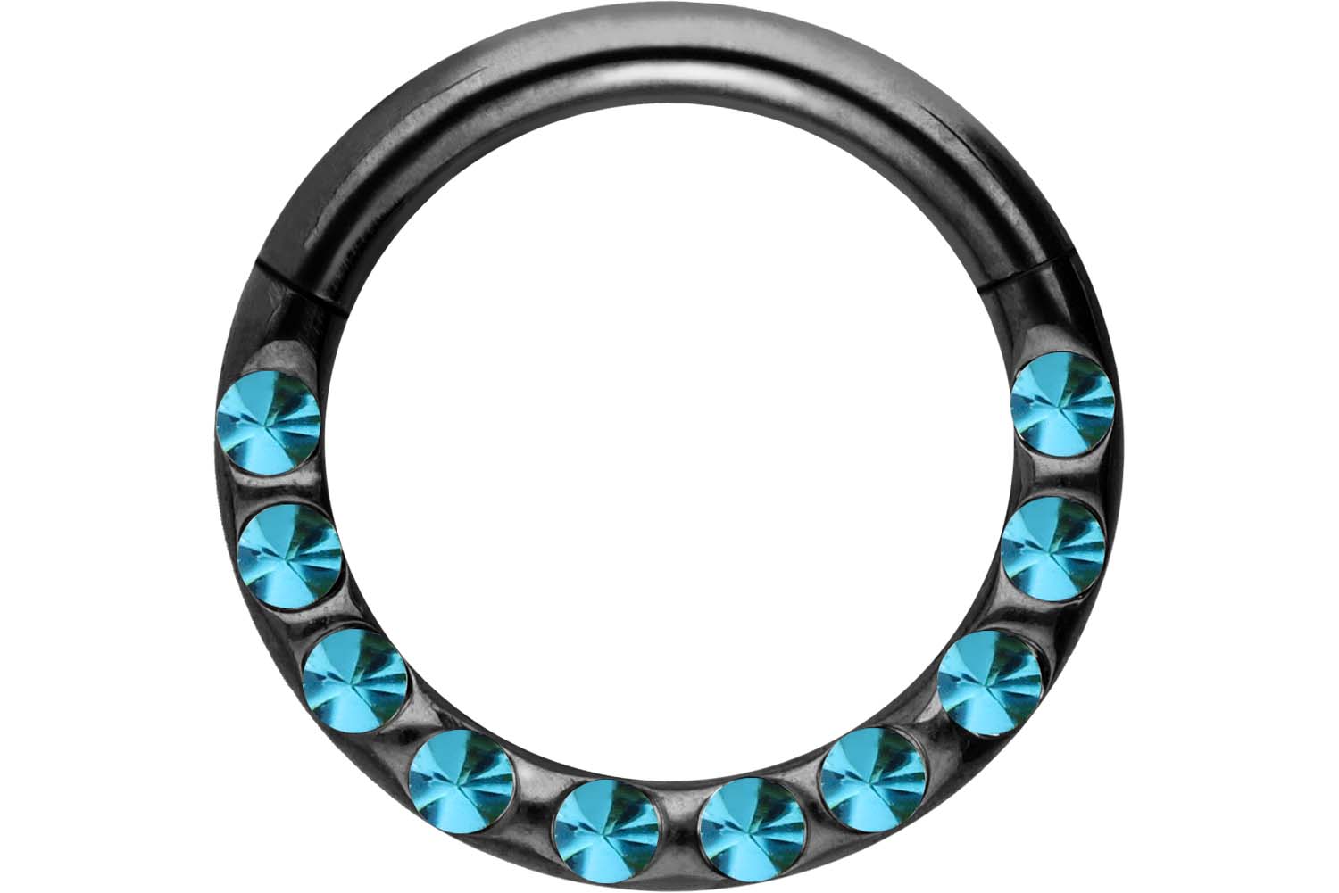 Chirurgenstahl Segmentring Clicker Piercing KRISTALLE + EPOXY ++SALE++